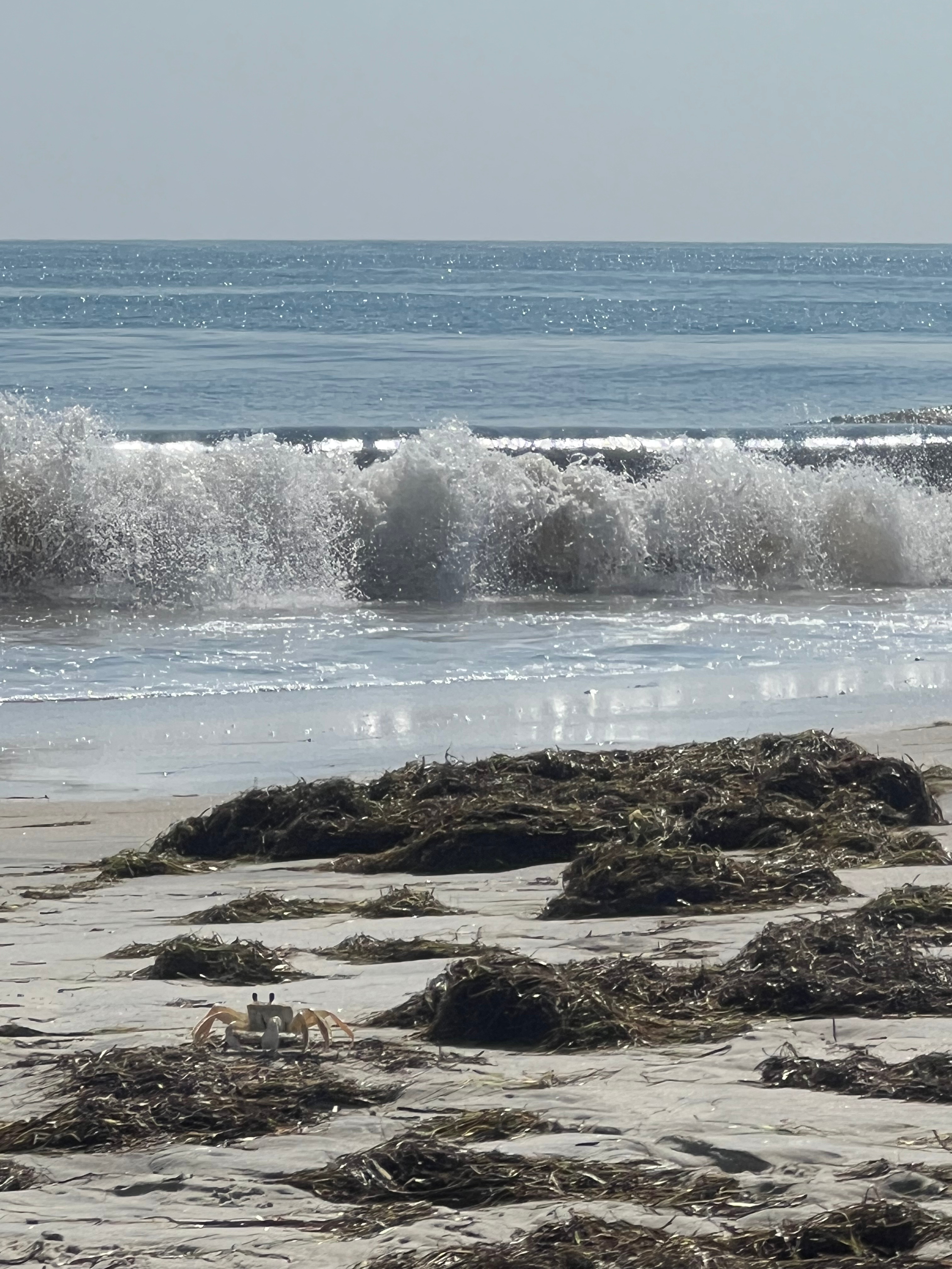 The Persevering Tides