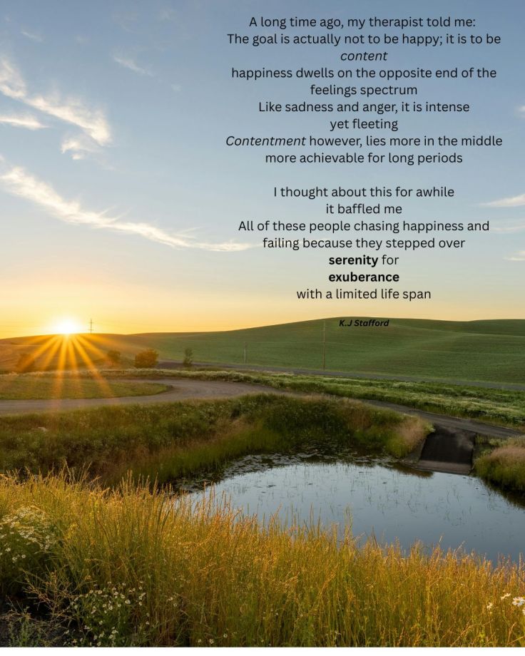 Contentment vs Happiness